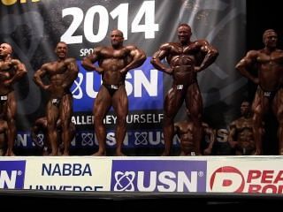 Musclebulls Nabba Universe 2014, Professionals - Comparison 1